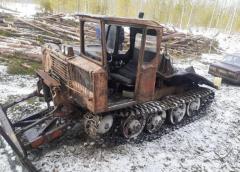 Бригада лесорубов со своей техникой и пилами на услуги