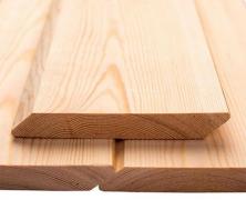 Планкен хвойный