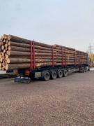 Продам пиловочник береза, осина