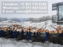 Закупаем еловый тонкомерный пиловочник D12-16 см Вологодская обл.