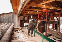 Ясень необрезной