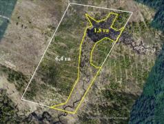 Аэрофотосъемка, мониторинг, разработка ГИС