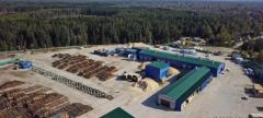Закупаем пиловочник (ель) на постоянной основе
