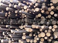 Закупаем Еловые тонкомерные балансы D12-16см, L3, 4, 6м