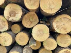 Бревна для распиловки и строгания осина/береза, 1 сорт, ГОСТ 9462-88, 18-60 см