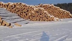 Лес круглый Сосна Лиственица Ангарская