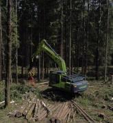 Новый харвестер на базе гусеничного лесного экскаватора Lishide