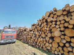 Кругляк из под комплекса