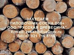 Закупаем Сосновый крупномерный пиловочник от D30+см